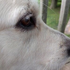 Meet your Posher, Chrystal